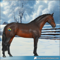Horse Color:Brown 