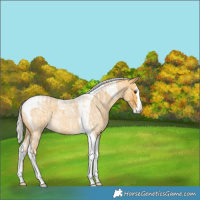 Horse Color:Silver Buckskin Roan Splash Tobiano  and Silver Buckskin Roan Splash Tobiano 