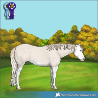 Horse Color:Smoky Creme Dun Splash 