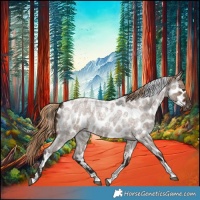 Horse Color:Liver Red Dun Roan Tobiano Near Leopard 