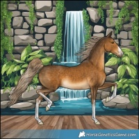 Horse Color:White Spotted Chocolate Palomino