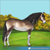 Horse Color:Brown Onyx Mushroom 