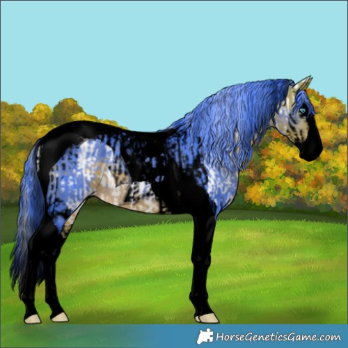 Horse Color:Void Cremello Dun Splash Tobiano  and Void Watercolor Buckskin Splash Tobiano 