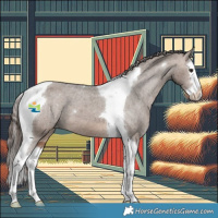 Horse Color:Brown Dun Splash Tobiano Appaloosa 