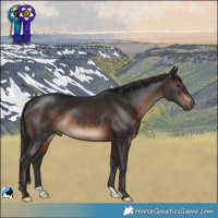Horse Color:Brown Mushroom Rabicano 