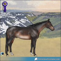 Horse Color:Brown Mushroom Rabicano 
