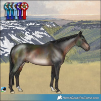 Horse Color:Brown Mushroom Rabicano