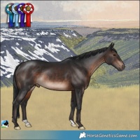 Horse Color:Brown Mushroom Rabicano