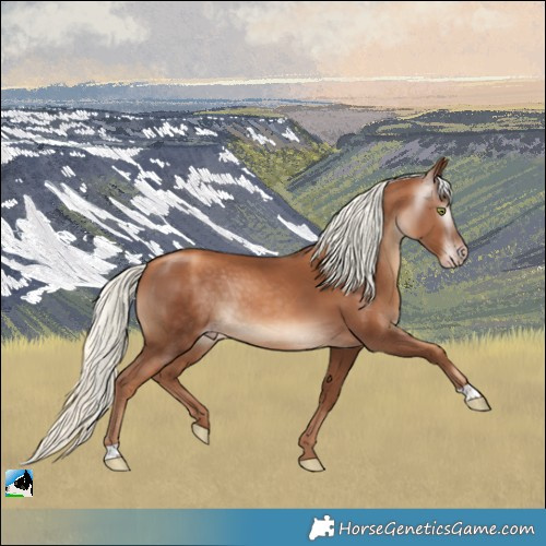 Horse Color:Gray Gold Champagne Mushroom Rabicano 