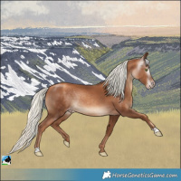 Horse Color:Gray Gold Champagne Mushroom Rabicano 