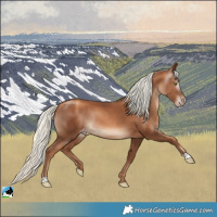 Horse Color:Gray Gold Champagne Mushroom Rabicano 