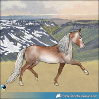 Horse Color:Gray Gold Champagne Mushroom Rabicano