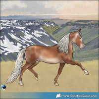 Horse Color:Gray Gold Champagne Mushroom Rabicano