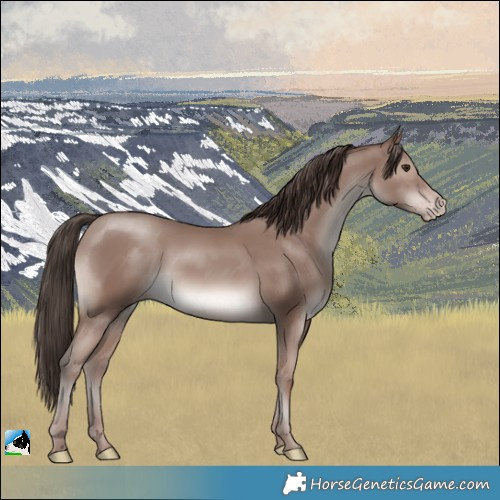 Horse Color:Classic Champagne Mushroom Rabicano 