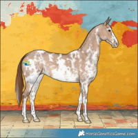 Horse Color:White Spotted Red Dun Sabino