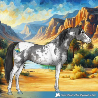 Horse Color:Black Sabino Tobiano 