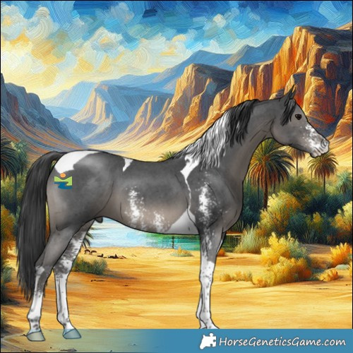 Horse Color:Black Sabino Tobiano 