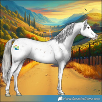 Horse Color:Liver Chestnut Mushroom Sabino Splash 