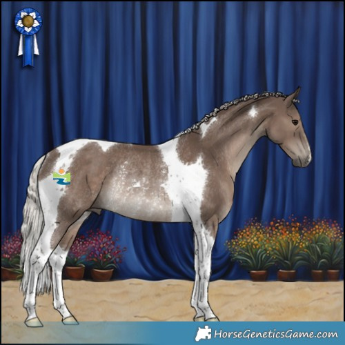 Horse Color:Silver Black Tobiano Rabicano 