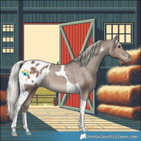 Horse Color:Silver Black Tobiano Varnish 