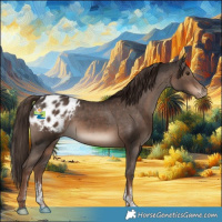 Horse Color:Liver Chestnut Sabino Blanket Rabicano