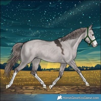 Horse Color:Platinum White Spotted Liver Red Dun