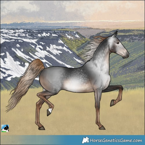 Horse Color:Gray Liver Chestnut