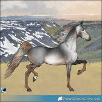 Horse Color:Gray Liver Chestnut 