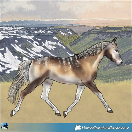 Horse Color:Powder White Gray Liver Red Onyx Mushroom
