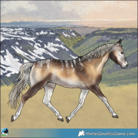 Horse Color:Powder White Gray Liver Red Onyx Mushroom 