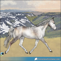 Horse Color:Powder White Gray Liver Red Onyx Mushroom 