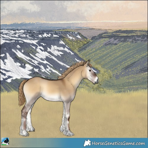 Horse Color:Gray Liver Red Dun Onyx 