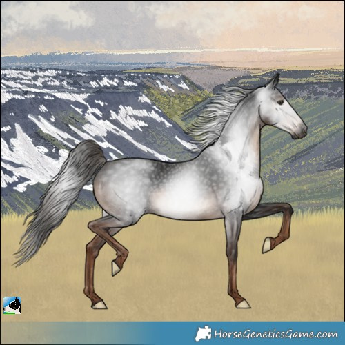 Horse Color:Gray Liver Chestnut