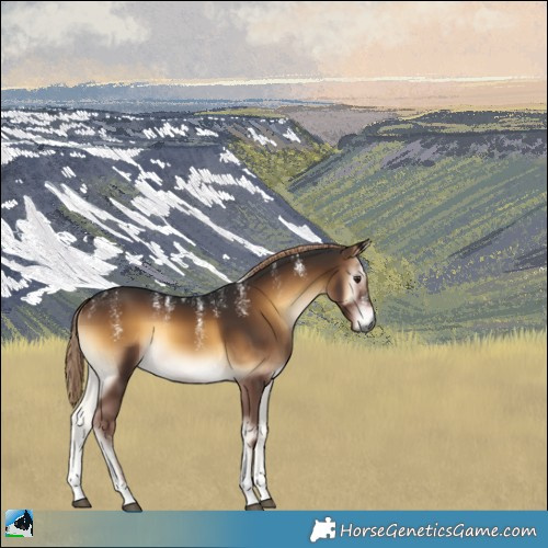 Horse Color:Powder White Gray Liver Red Onyx 
