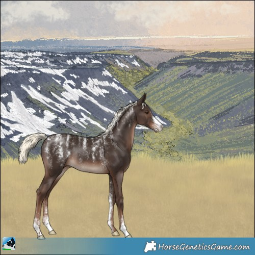 Horse Color:Powder White Liver Chestnut Mushroom Rabicano 