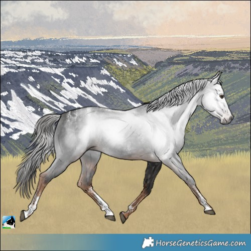 Horse Color:Powder White Gray Liver Chestnut 