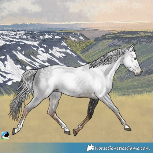 Horse Color:Powder White Gray Liver Chestnut