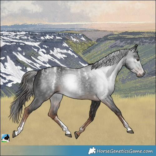 Horse Color:Powder White Gray Liver Chestnut 