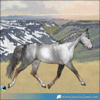 Horse Color:Powder White Gray Liver Chestnut 