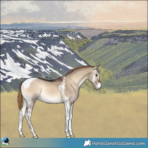 Horse Color:Liver Red Dun Onyx Tobiano 
