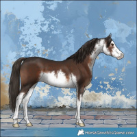 Horse Color:White Spotted Liver Chestnut 