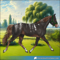 Horse Color:Powder White Liver Chestnut 