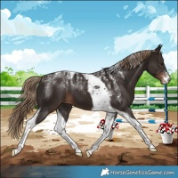 Horse Color:Powder White Liver Chestnut Tobiano 