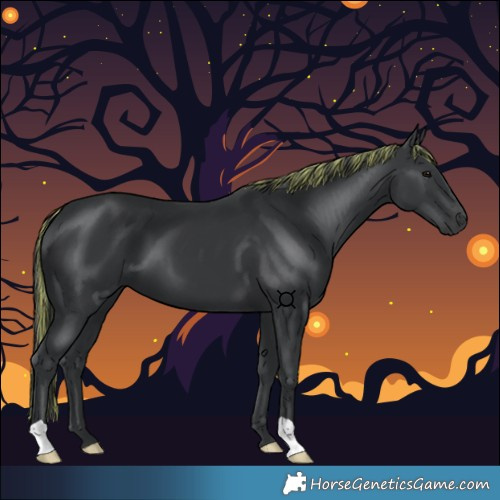 Horse Color:Painted Black 