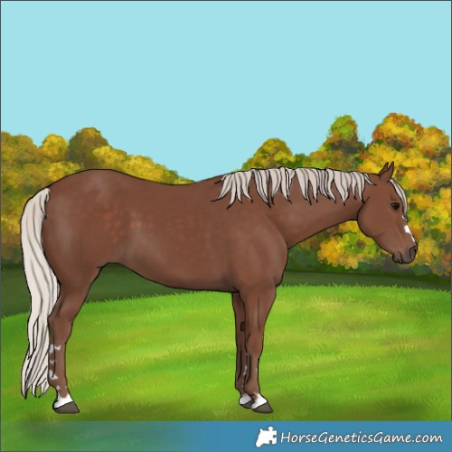 Horse Color:Silver Black 
