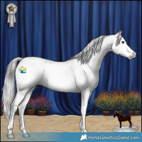 Horse Color:Gray Liver Red Roan Sabino Splash Rabicano 