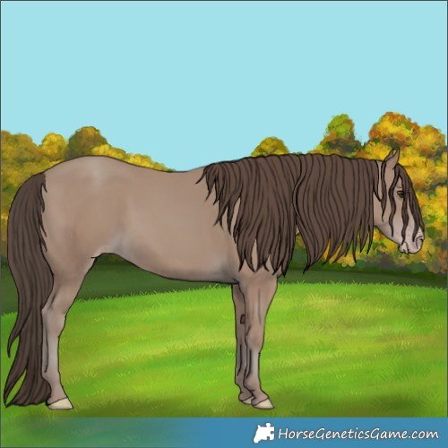 Horse Color:Classic Champagne 