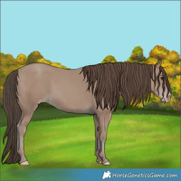 Horse Color:Classic Champagne 