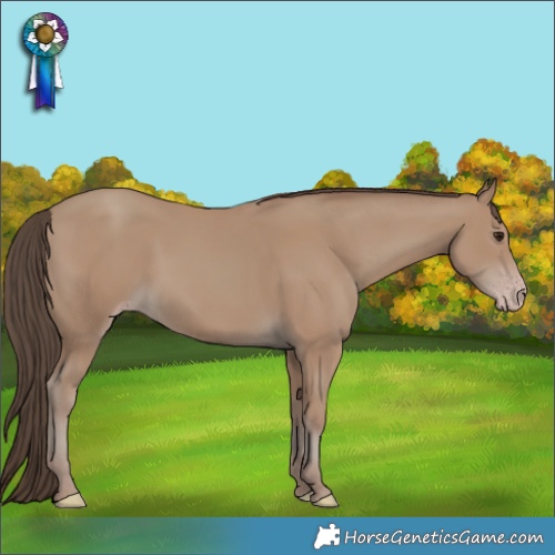 Horse Color:Classic Champagne 
