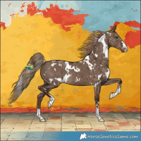Horse Color:White Spotted Liver Red Dun Snowflake Varnish Brindle 